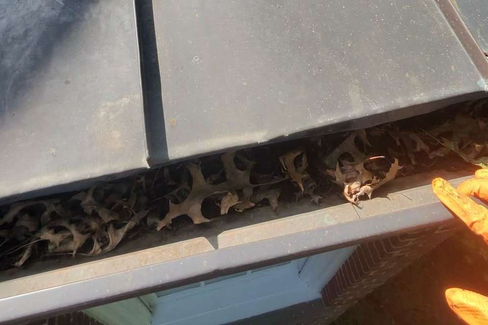Wet leaves packed into a gutter beside a metal roof.